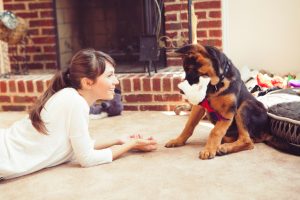 pet fireplace safety